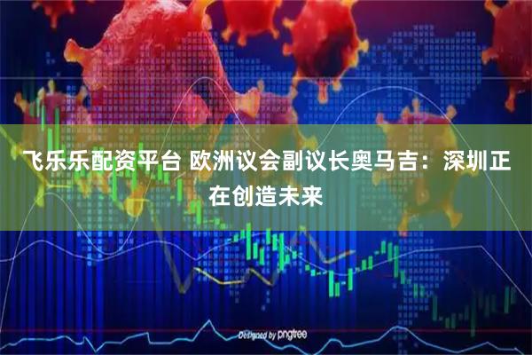 飞乐乐配资平台 欧洲议会副议长奥马吉：深圳正在创造未来